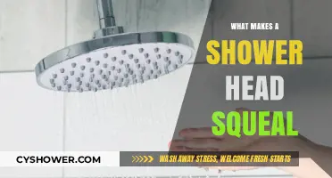 Why Does Your Shower Head Squeal? Causes and Quick Fixes