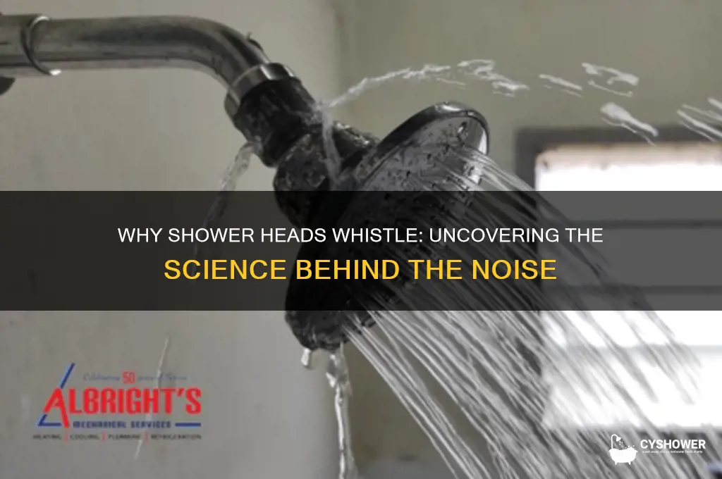 what makes a shower head whistle