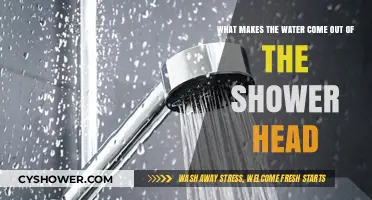 How Shower Heads Work: The Science Behind Water Flow