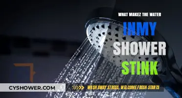 Why Does My Shower Water Smell Bad? Causes and Fixes
