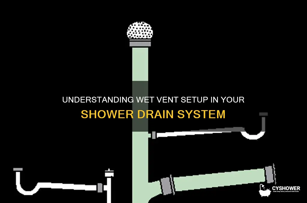 what means shower drain has a wet vent set up