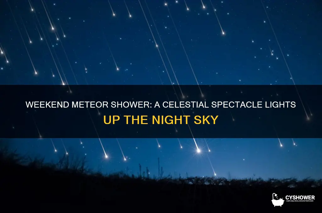 what meteor shower happened this past weekend