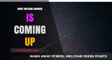 Upcoming Meteor Shower: When and Where to Watch the Night Sky
