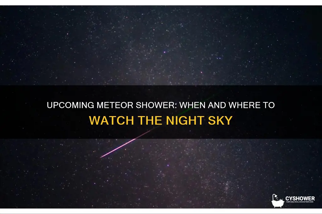 what meteor shower is coming up