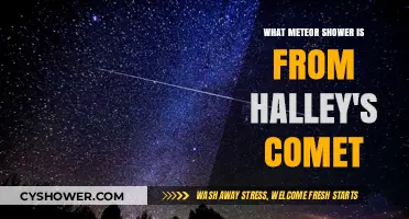 Halley's Comet's Celestial Showers: The Orionids and Eta Aquariids