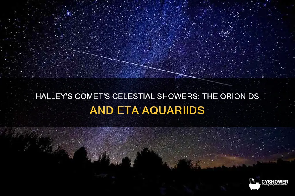 what meteor shower is from halley