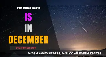 December's Geminids Meteor Shower: A Celestial Spectacle to Watch