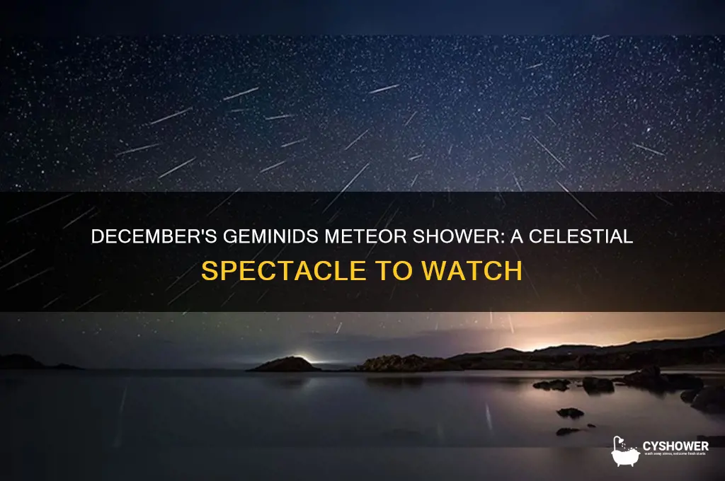what meteor shower is in december