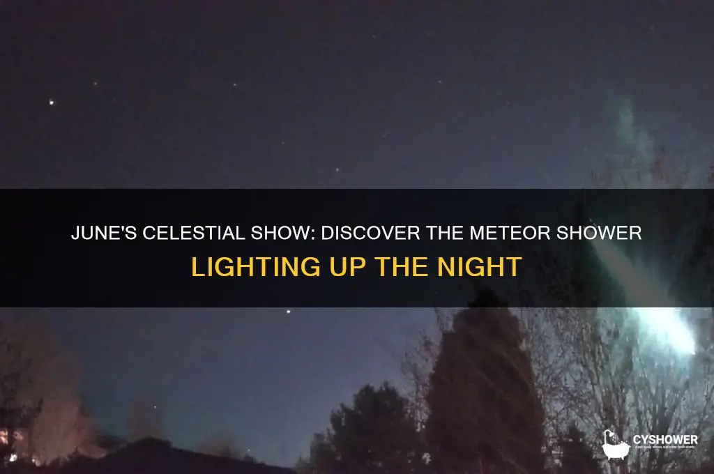 what meteor shower is in june