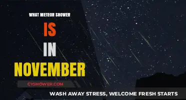 November's Leonid Meteor Shower: A Celestial Spectacle to Watch