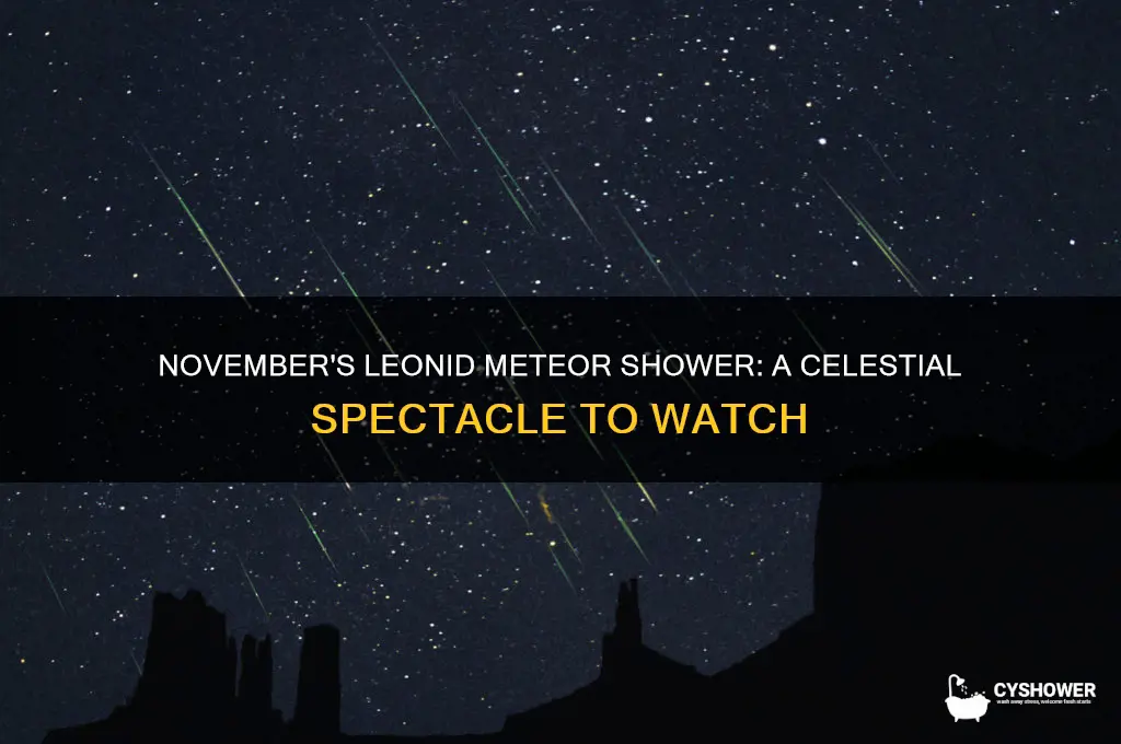 what meteor shower is in november