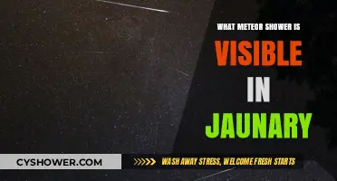 January's Celestial Show: Spotting the Quadrantid Meteor Shower