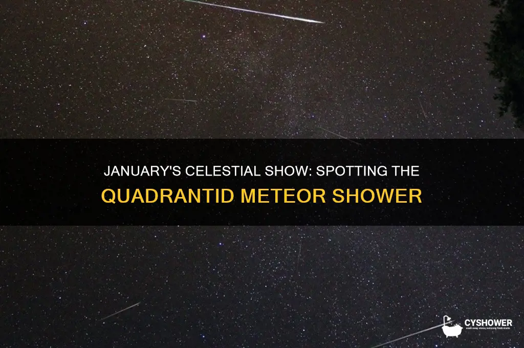 what meteor shower is visible in jaunary