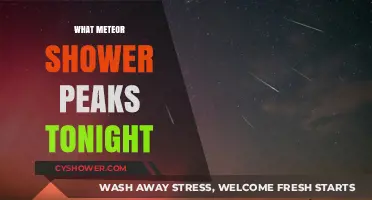 Stargazers' Delight: Tonight's Meteor Shower Peaks in the Night Sky