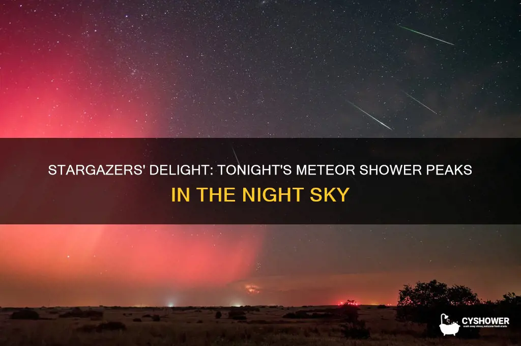 what meteor shower peaks tonight