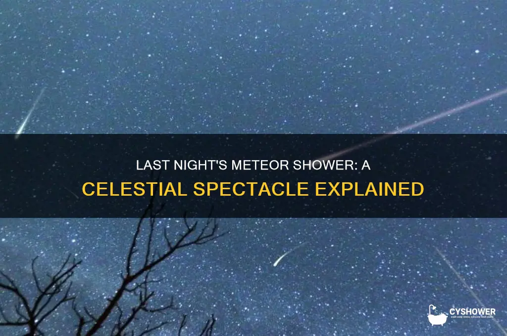 what meteor shower was last night
