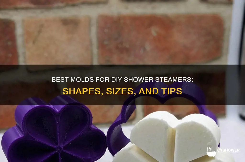 what molds can ibuse for shower steamers