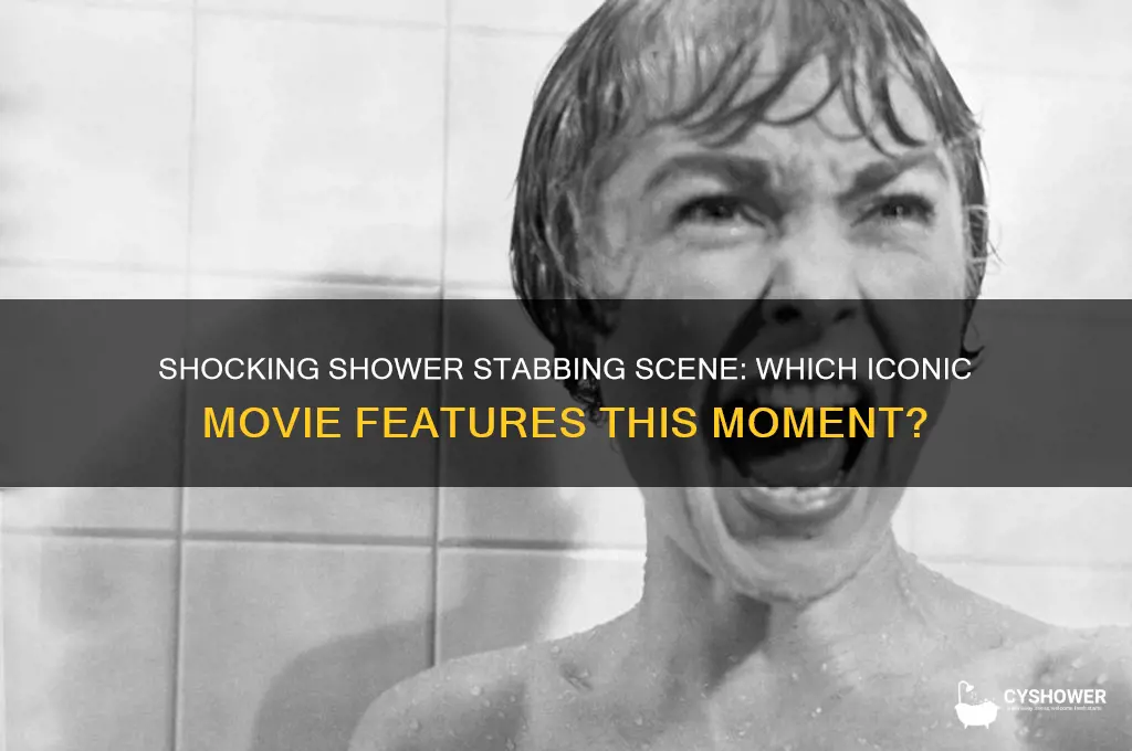 what movie did somebody get stabbed in the shower