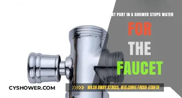 How the Diverter Valve Stops Shower Water from Reaching the Faucet