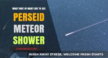 Best Viewing Spot for the Perseid Meteor Shower Night Sky