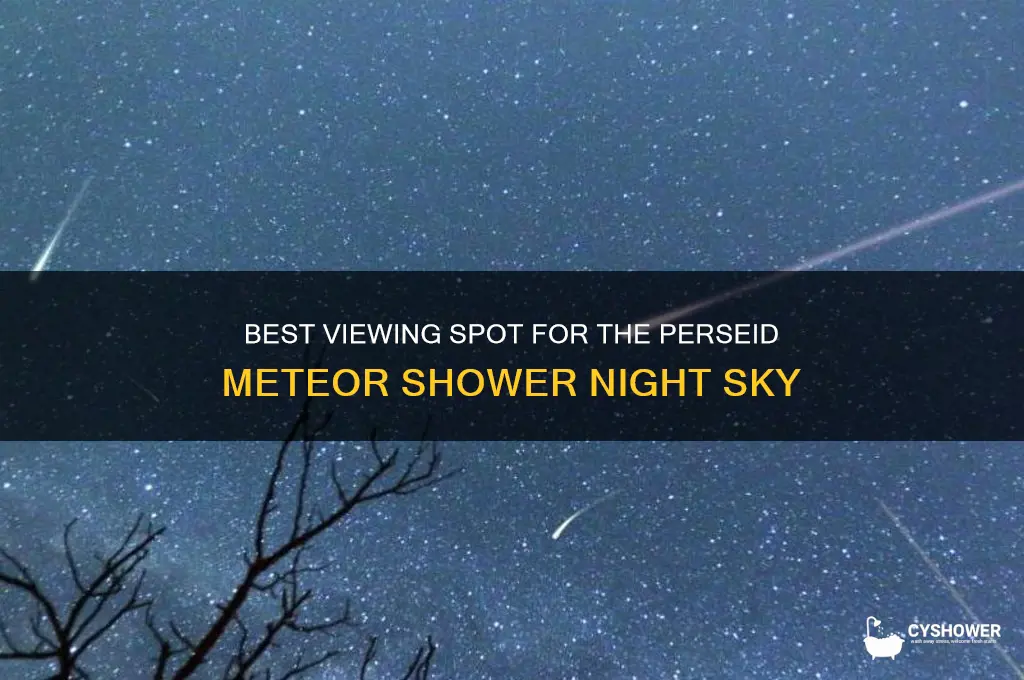 what part of night sky to see perseid meteor shower