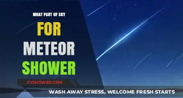 Where to Look in the Night Sky for Meteor Showers