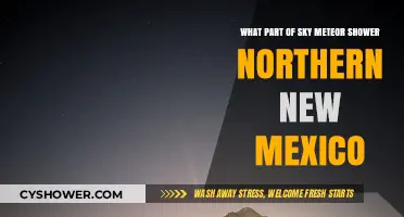 Northern New Mexico's Night Sky: Meteor Shower Viewing Guide