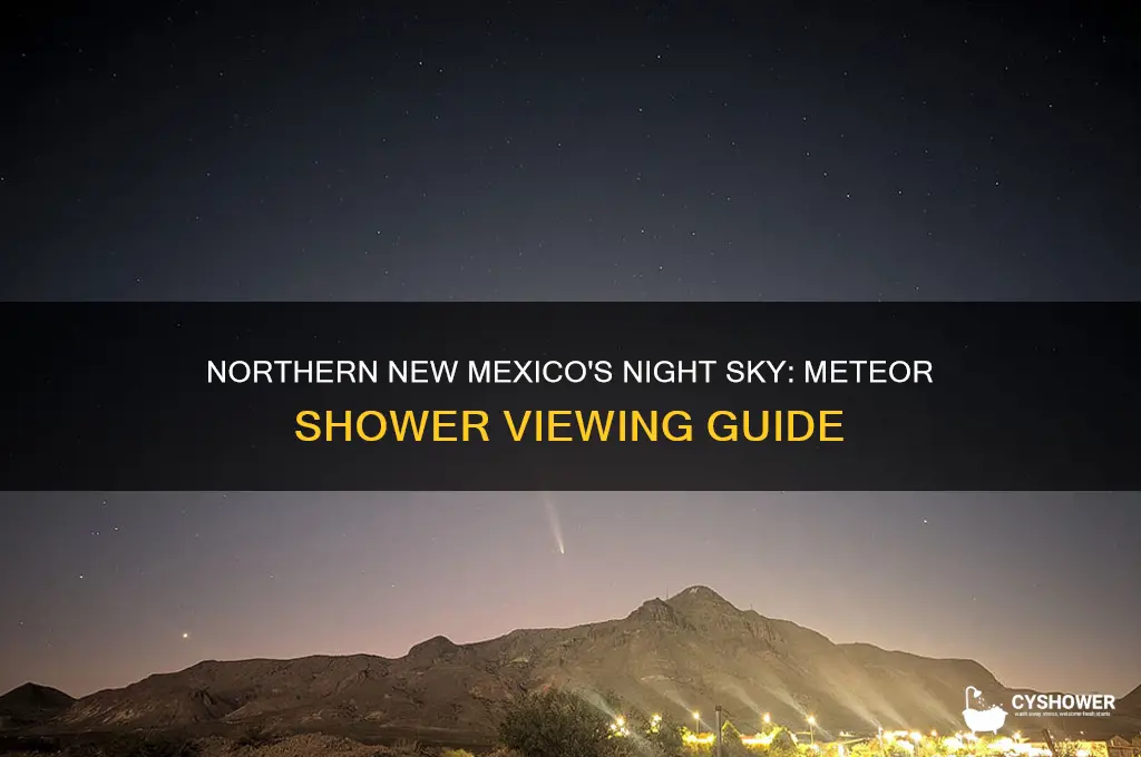 what part of sky meteor shower northern new mexico