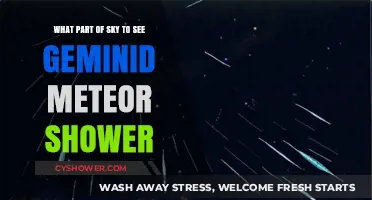 Best Viewing Spot for the Geminid Meteor Shower in the Night Sky