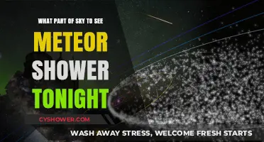 Where to Look Tonight for the Best Meteor Shower Views