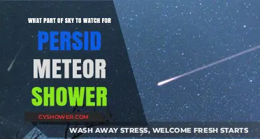 Best Sky Viewing Spot for the Perseid Meteor Shower
