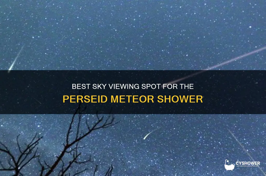 what part of sky to watch for persid meteor shower