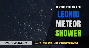 Where to Look for the Leonid Meteor Shower in the Night Sky