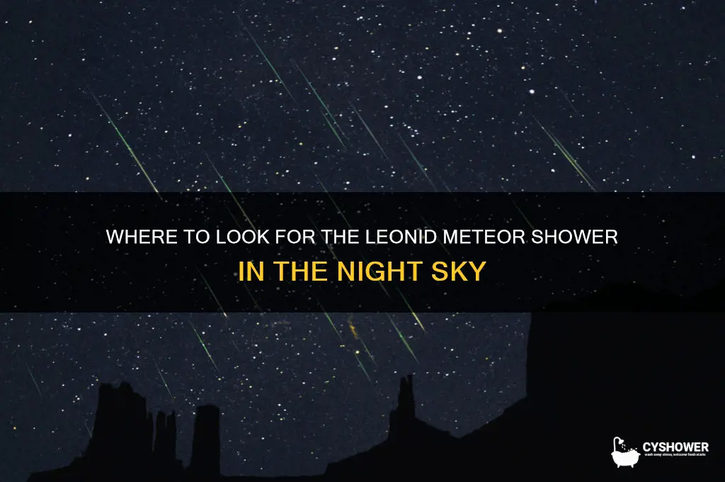 what part of the sky is the leonid meteor shower