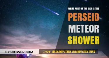 Where to Look for the Perseid Meteor Shower in the Night Sky