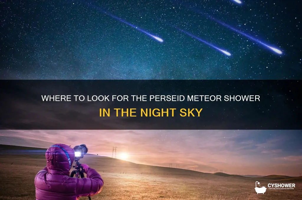 what part of the sky is the perseid meteor shower