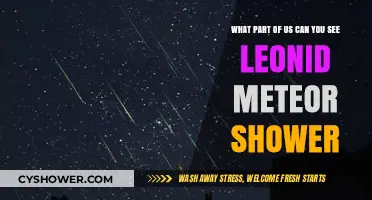 Where to Watch Leonid Meteor Shower: Best Viewing Spots