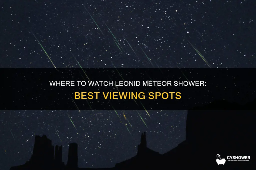 what part of us can you see leonid meteor shower