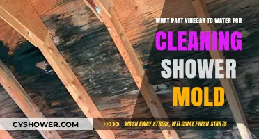 Effective Vinegar and Water Ratio for Cleaning Shower Mold