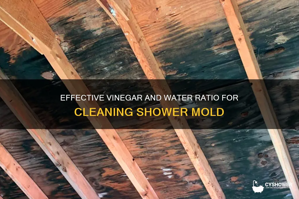 what part vinegar to water for cleaning shower mold