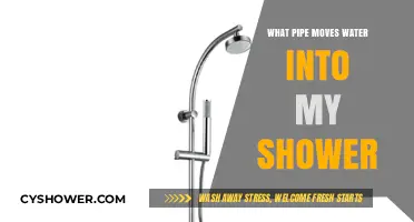 Understanding the Supply Pipe That Delivers Water to Your Shower