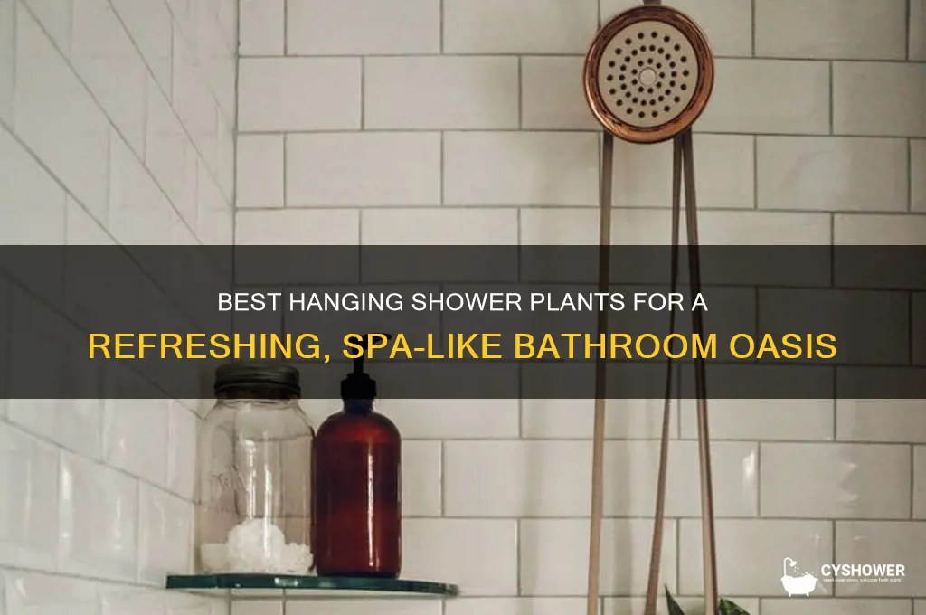 what plant can i hang in my shower