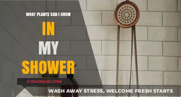 Shower-Friendly Plants: Greenery to Thrive in Your Bathroom Oasis