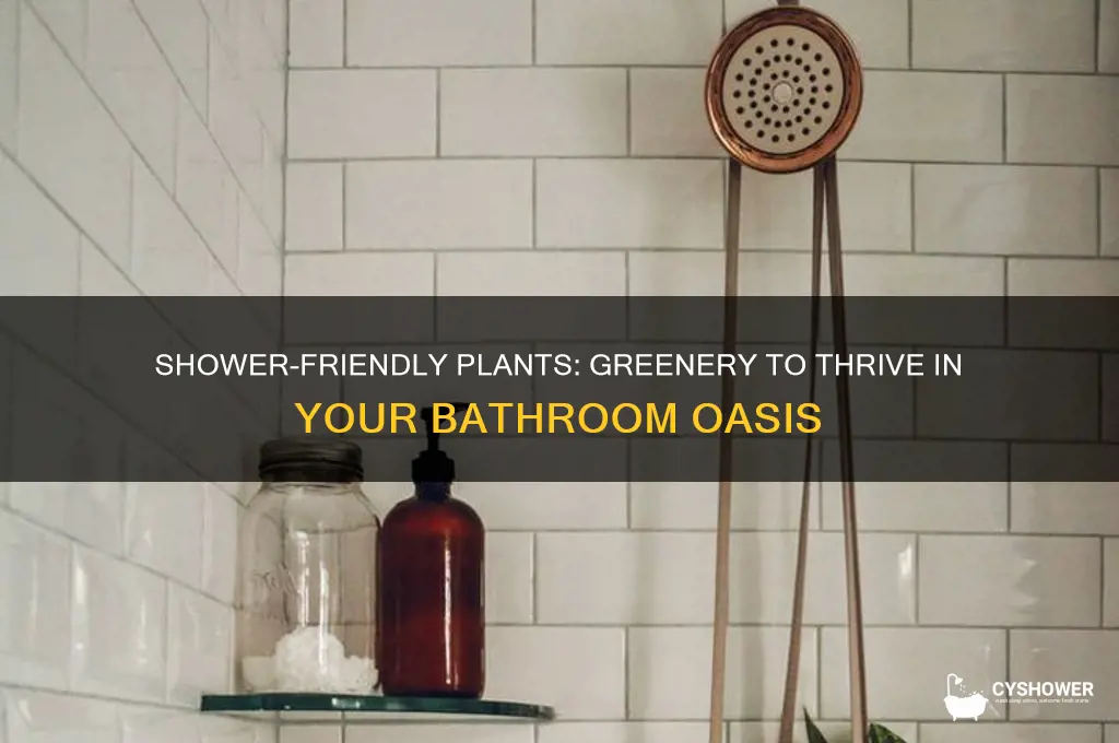 what plants can i grow in my shower