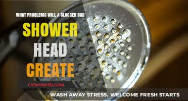 Clogged Shower Head Issues: Unclog to Avoid These Common Problems