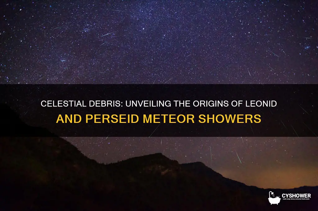 what produces meteor shower like leonid or perseids on earth