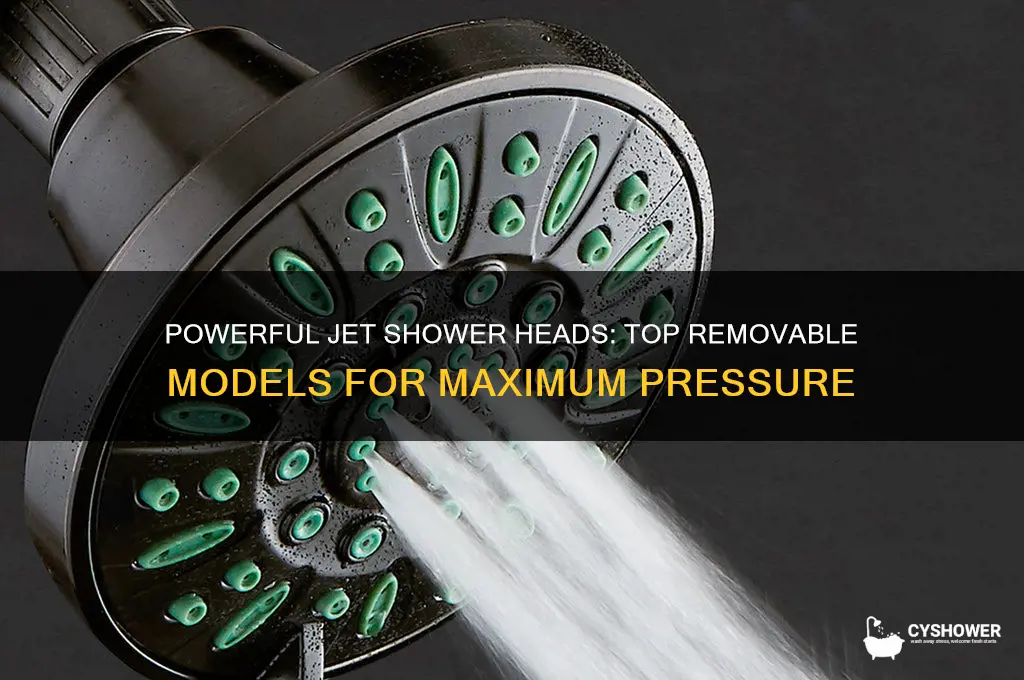 what removable shower head has the strongest jet