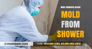 Effective Ways to Eliminate Black Mold in Your Shower