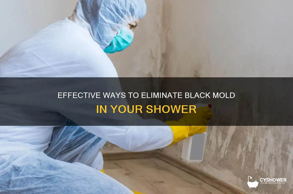what removes black mold from shower