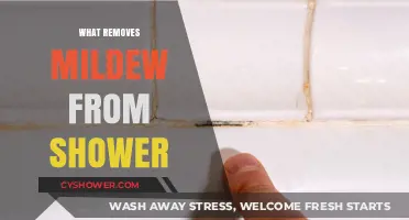 Effective Ways to Remove Mildew from Your Shower Quickly and Easily